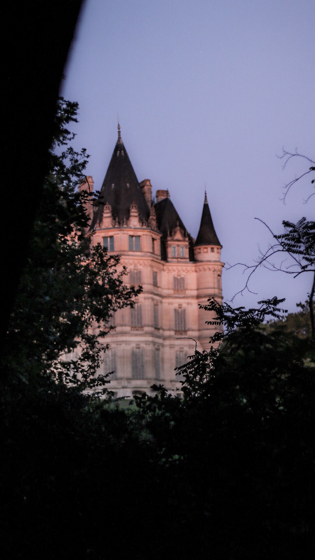 Château de Bon-Hôtel en Francia