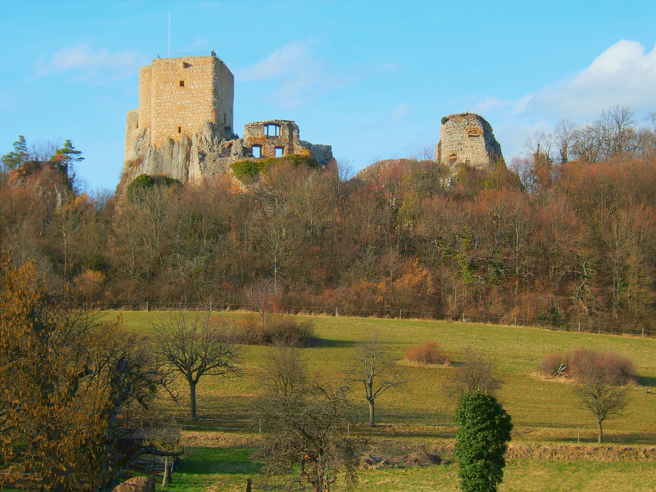 Burg Landskron (Oberelsass) in Frankreich