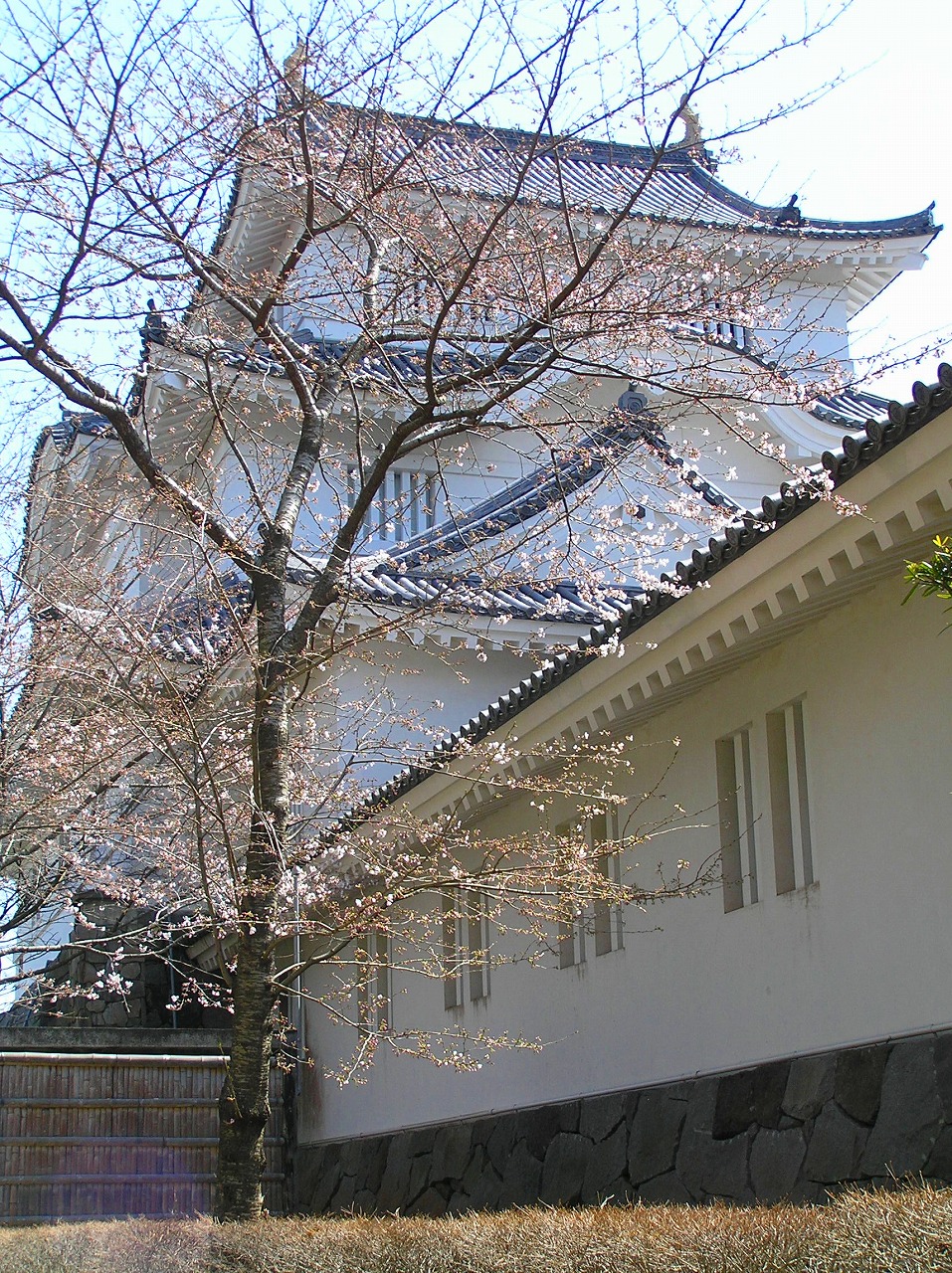Ōtaki Castle in Japan