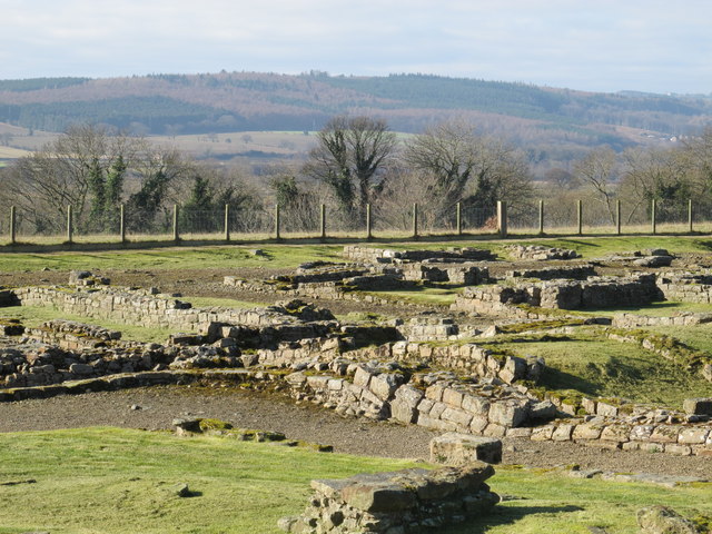 Coriosopitum in England