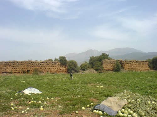 Temzezdekt in Algerije