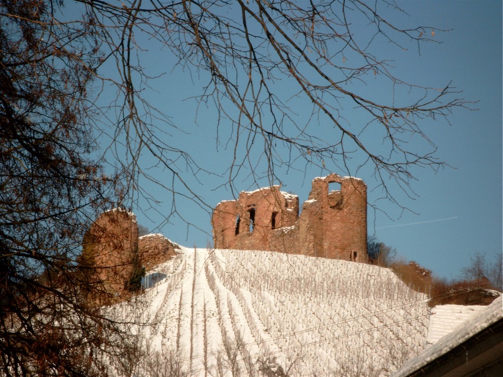 Gutenburg Castle in Germany