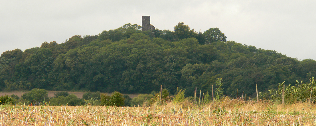 Tomburg Castle w Niemczech
