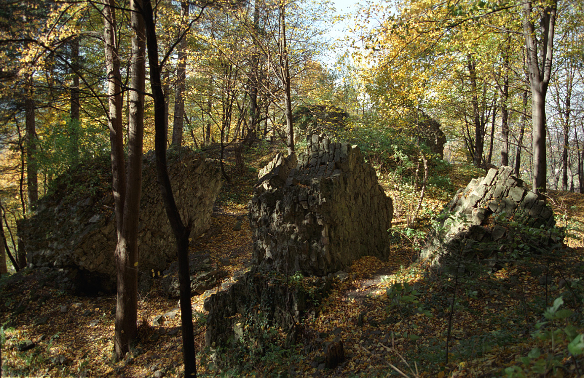 Castle in Myślenice in Poland