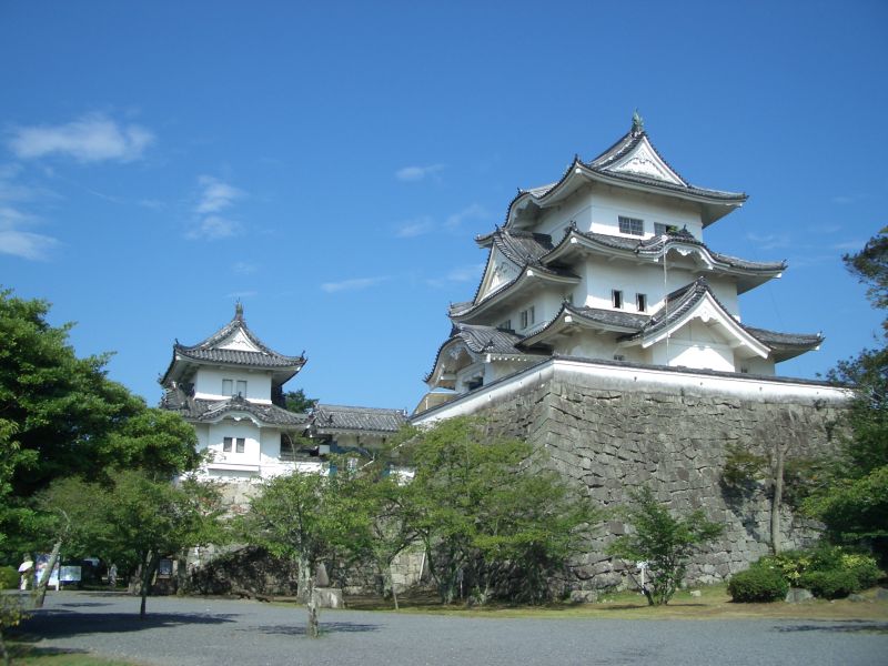 上野城（日本）