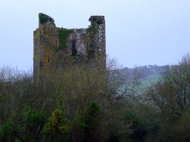 Kilcrea Castle w Irlandii