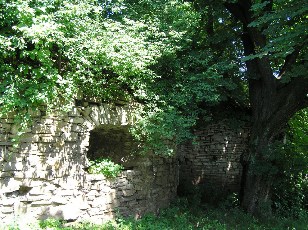 Yaniv Castle in Ukraine