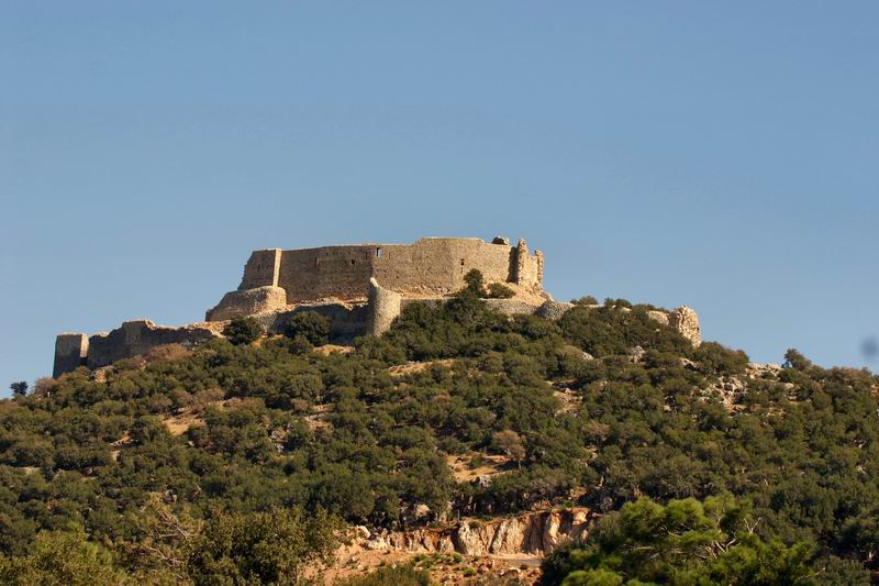 Abu Qubays（シリア）