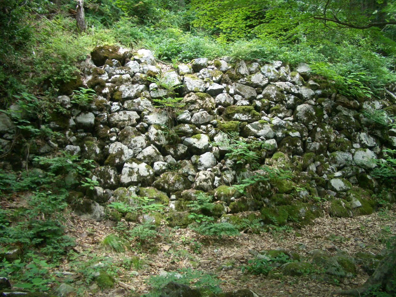 Odani Castle in Japan