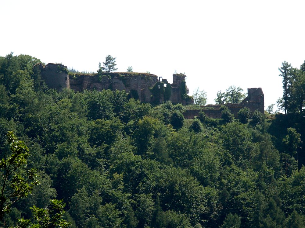 Neuscharfeneck in Duitsland