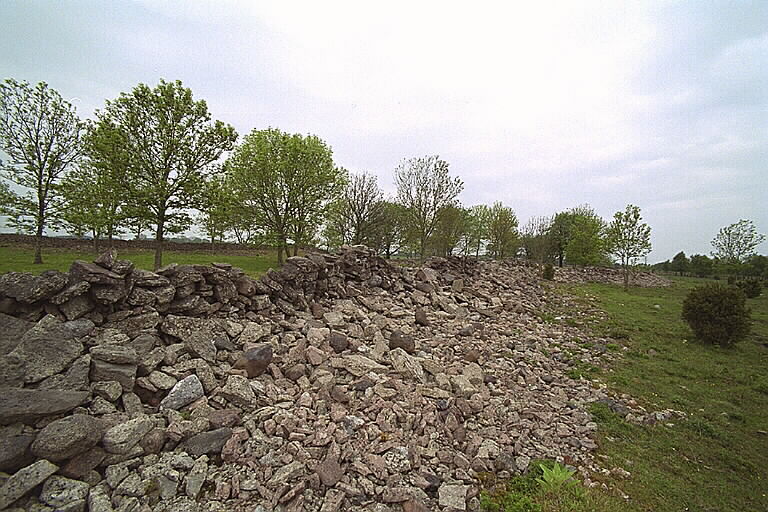 Träby borg in Sweden