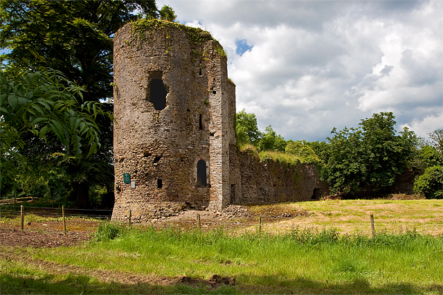 Kilbolane Castle in Ireland