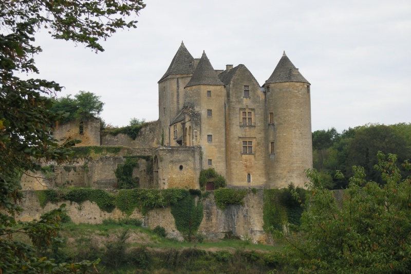 Burg Salignac in Frankreich