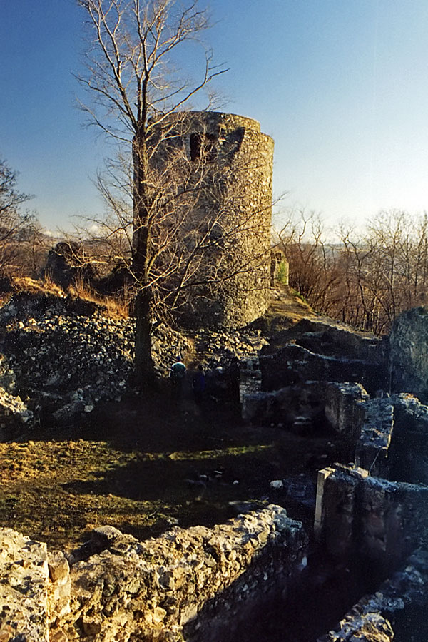 Burg Lehnhaus in Polen