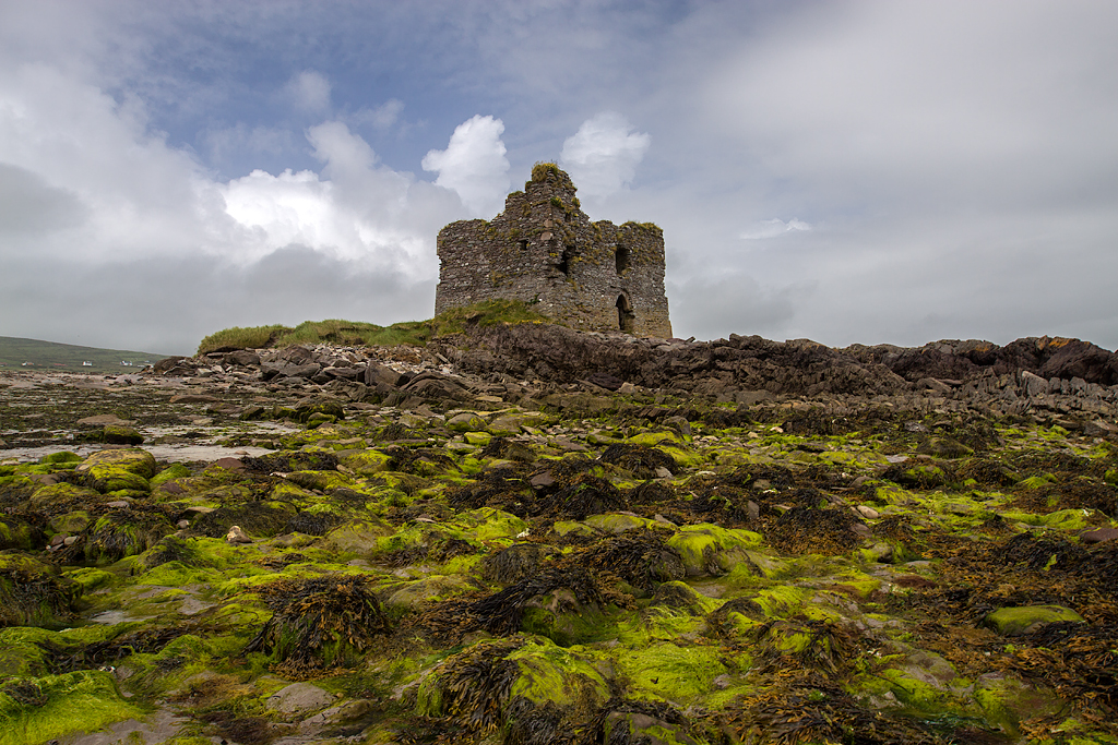 Ballinskelligs Castle（アイルランド）