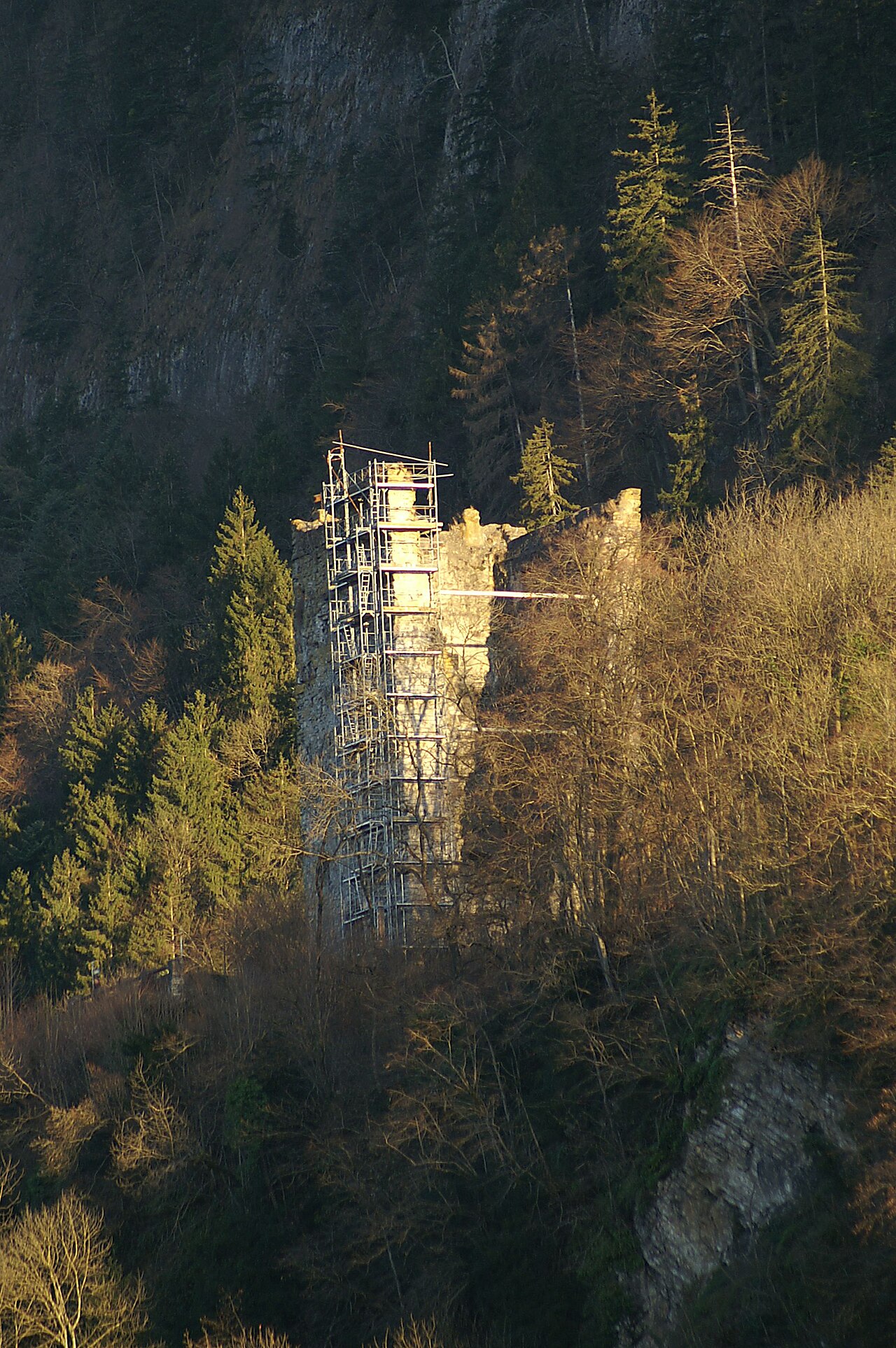 Burgruine Neu-Montfort in Austria