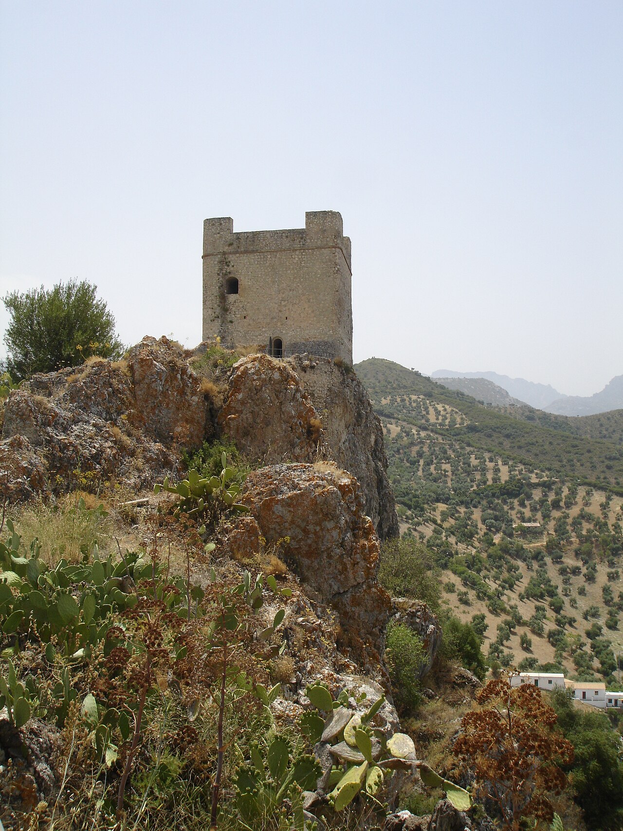 Castle of Zahara de la Sierra in Spain