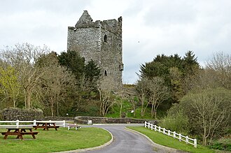 Ballinacarriga Castle