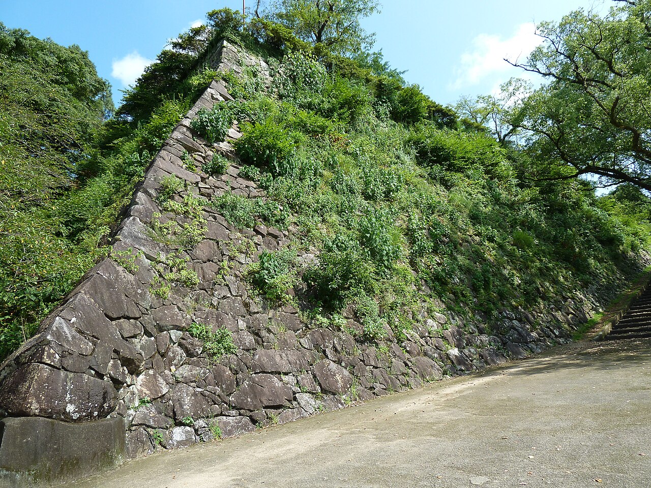 Nobeoka Castle w Japonii