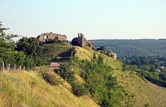 Chornokozyntsi Castle