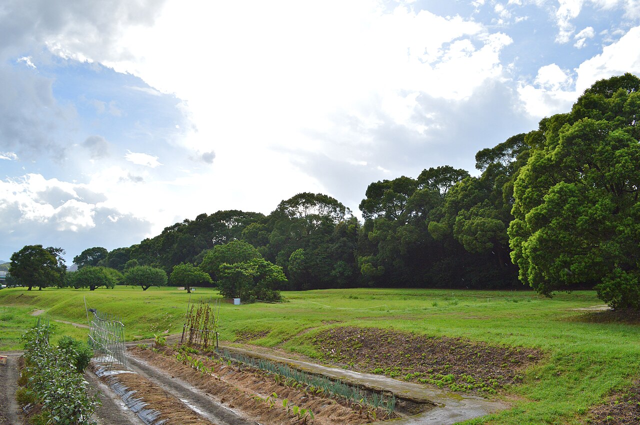 Mizuki in Japan