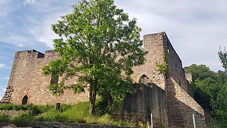 Wolfsburg Castle (Neustadt)