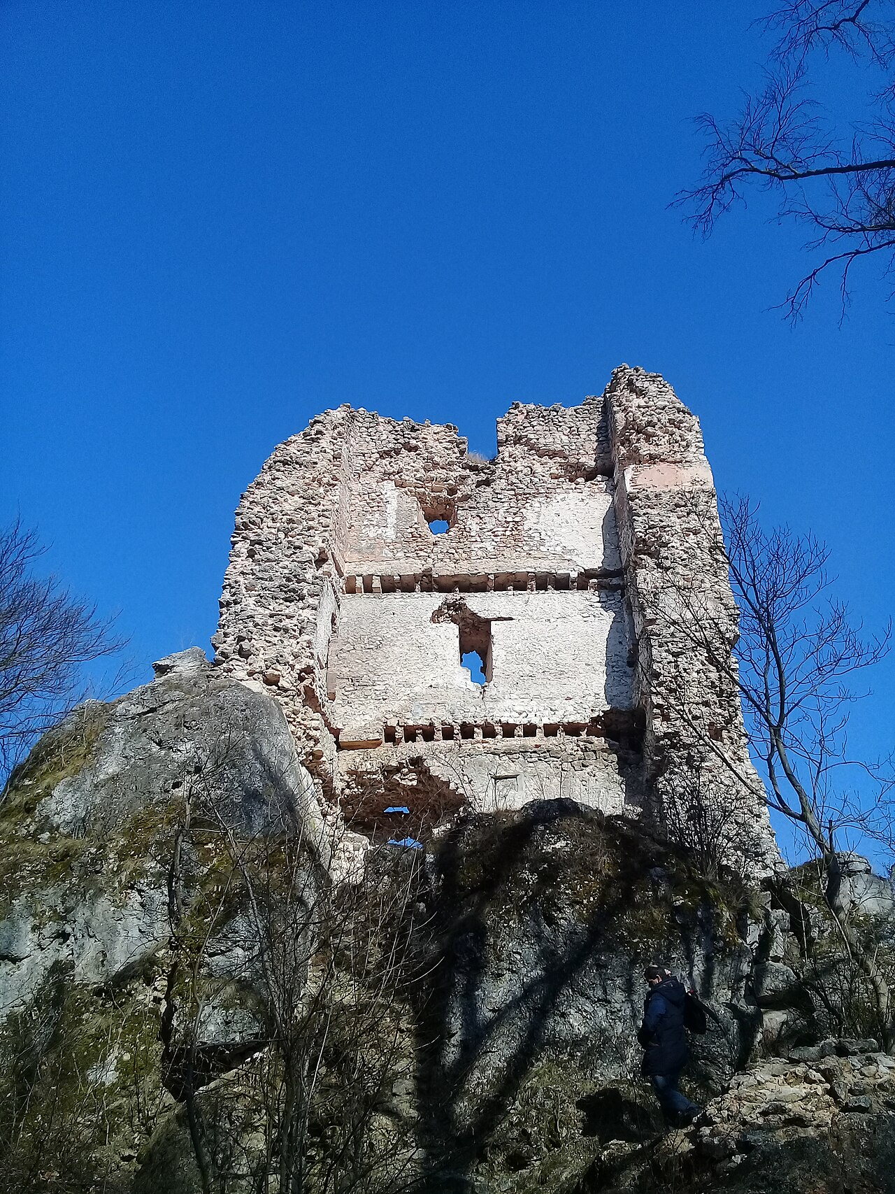 Pusztapalota-várrom, Várpalota в Угорщині
