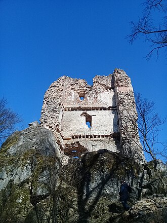 Pusztapalota-várrom, Várpalota