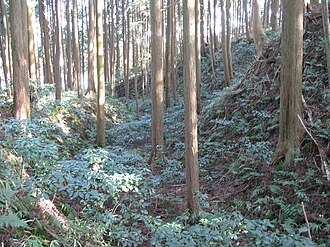 Furumiya Castle
