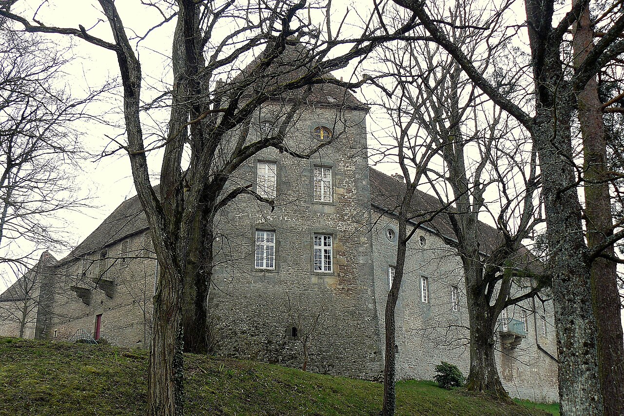 Château de Brandon en Francia