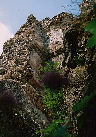 Pusztapalota-várrom, Várpalota
