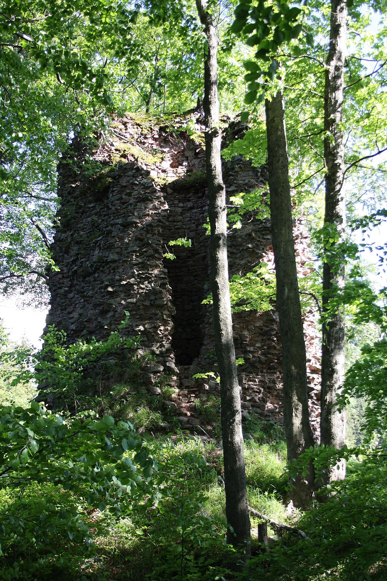Radosno Castle in Poland