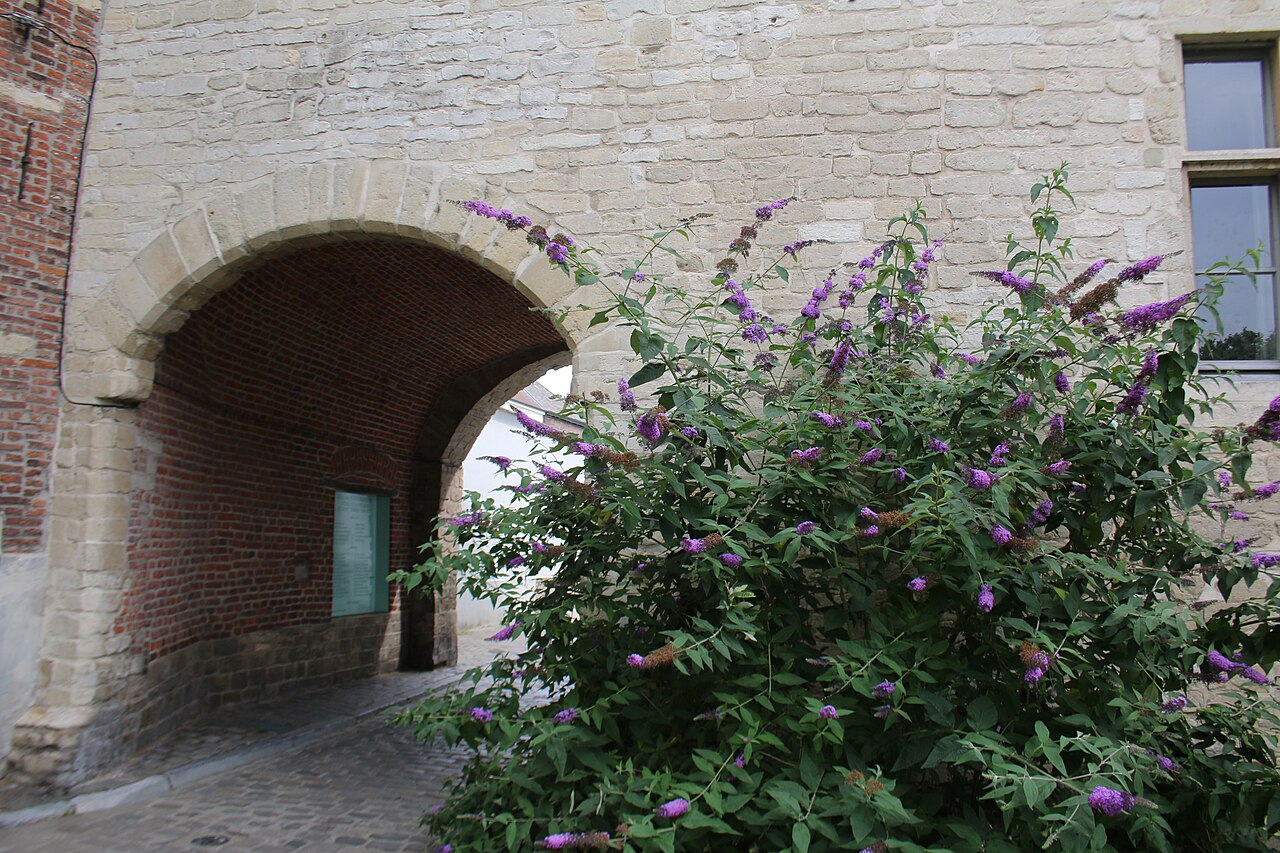 Prinsenhof in Belgium