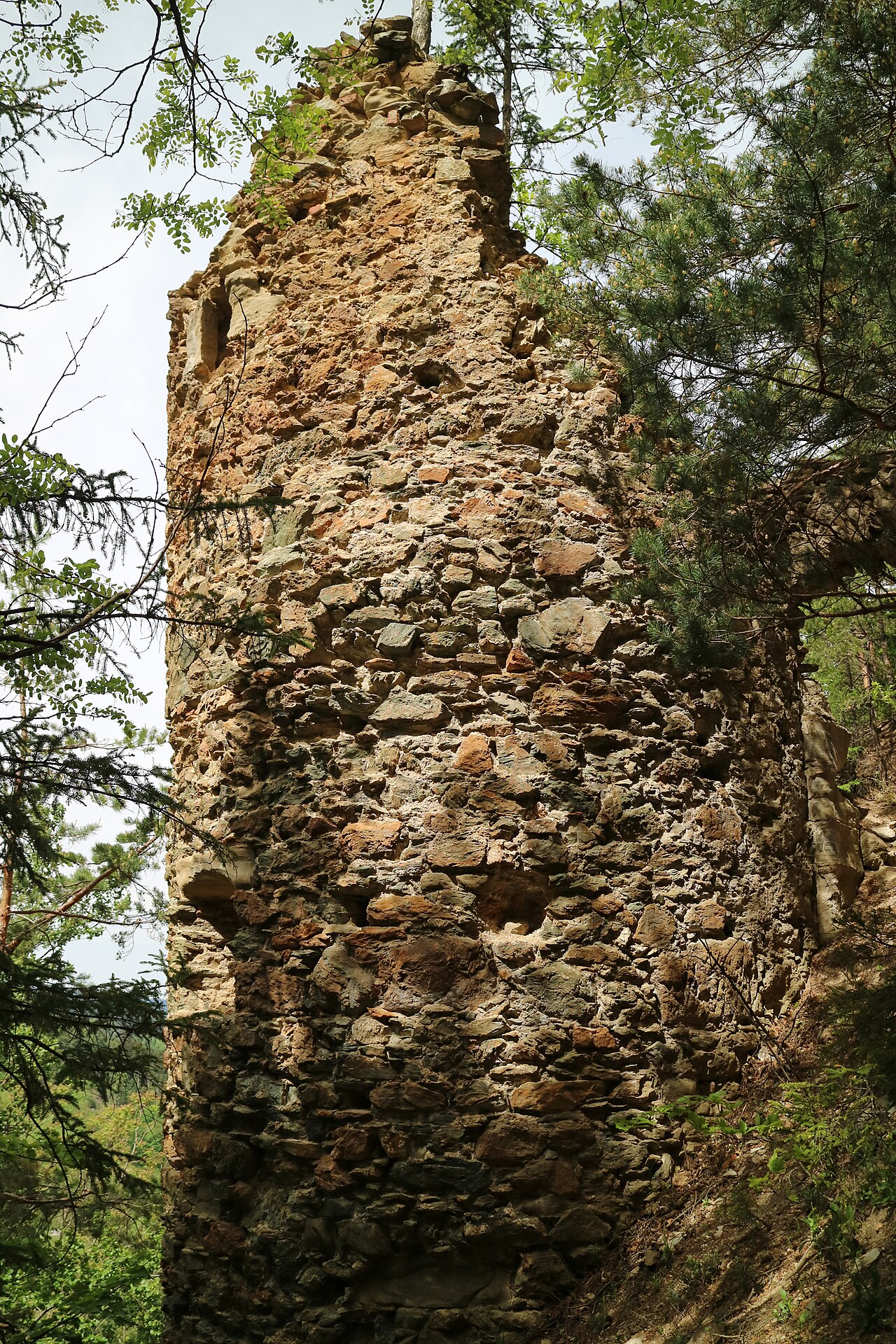 Ruine Schmirnberg w Austrii