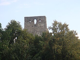 Almașu Citadel