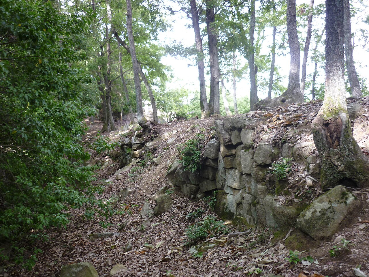Kanjōsan Castle w Japonii