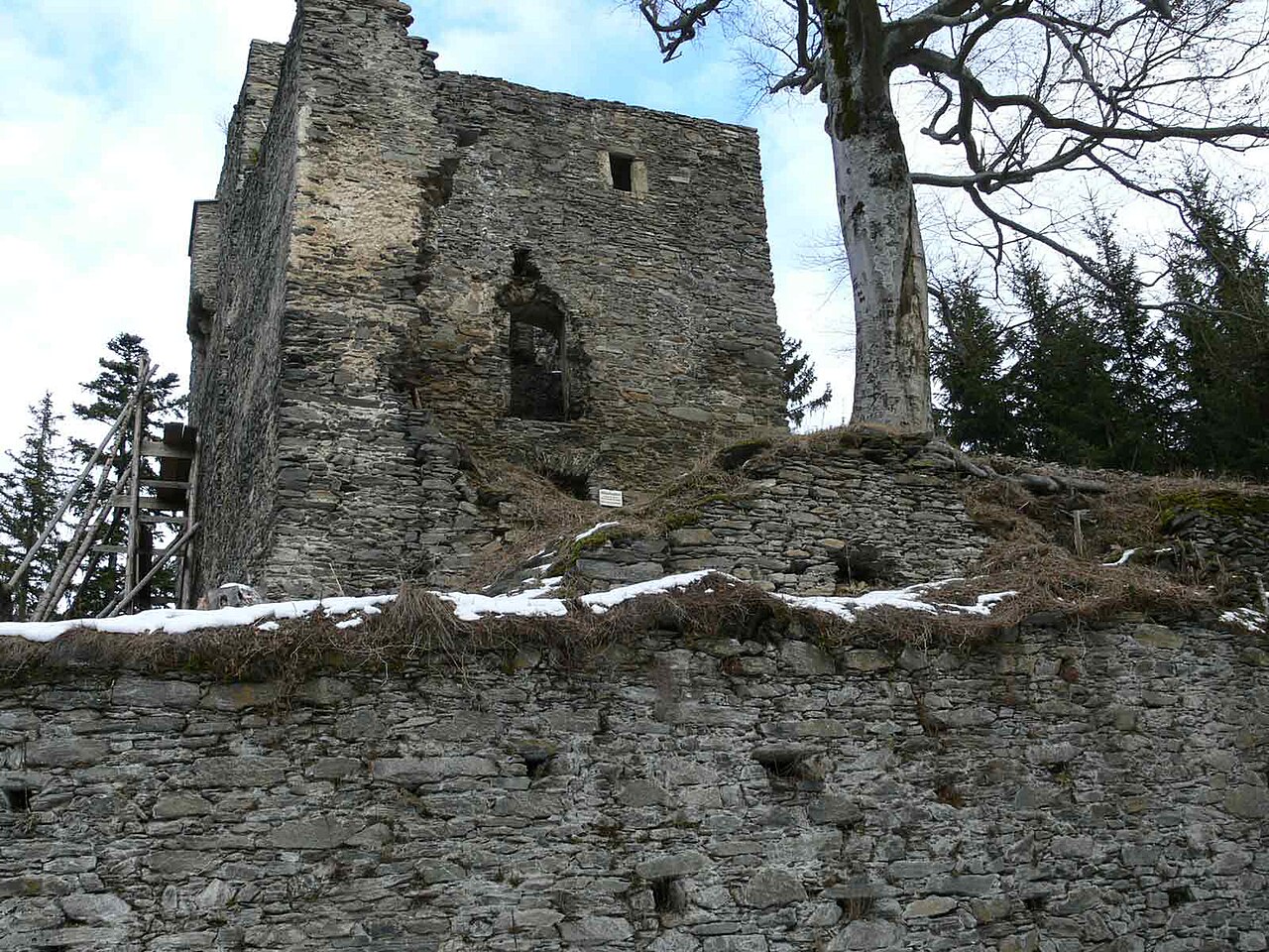 Ruine Hauenstein in Austria