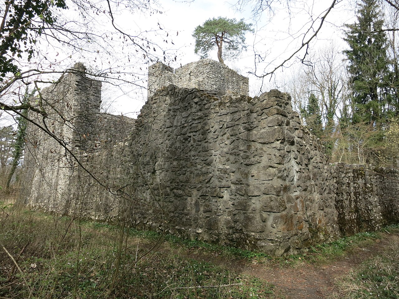 Weissenau Castle in Zwitserland