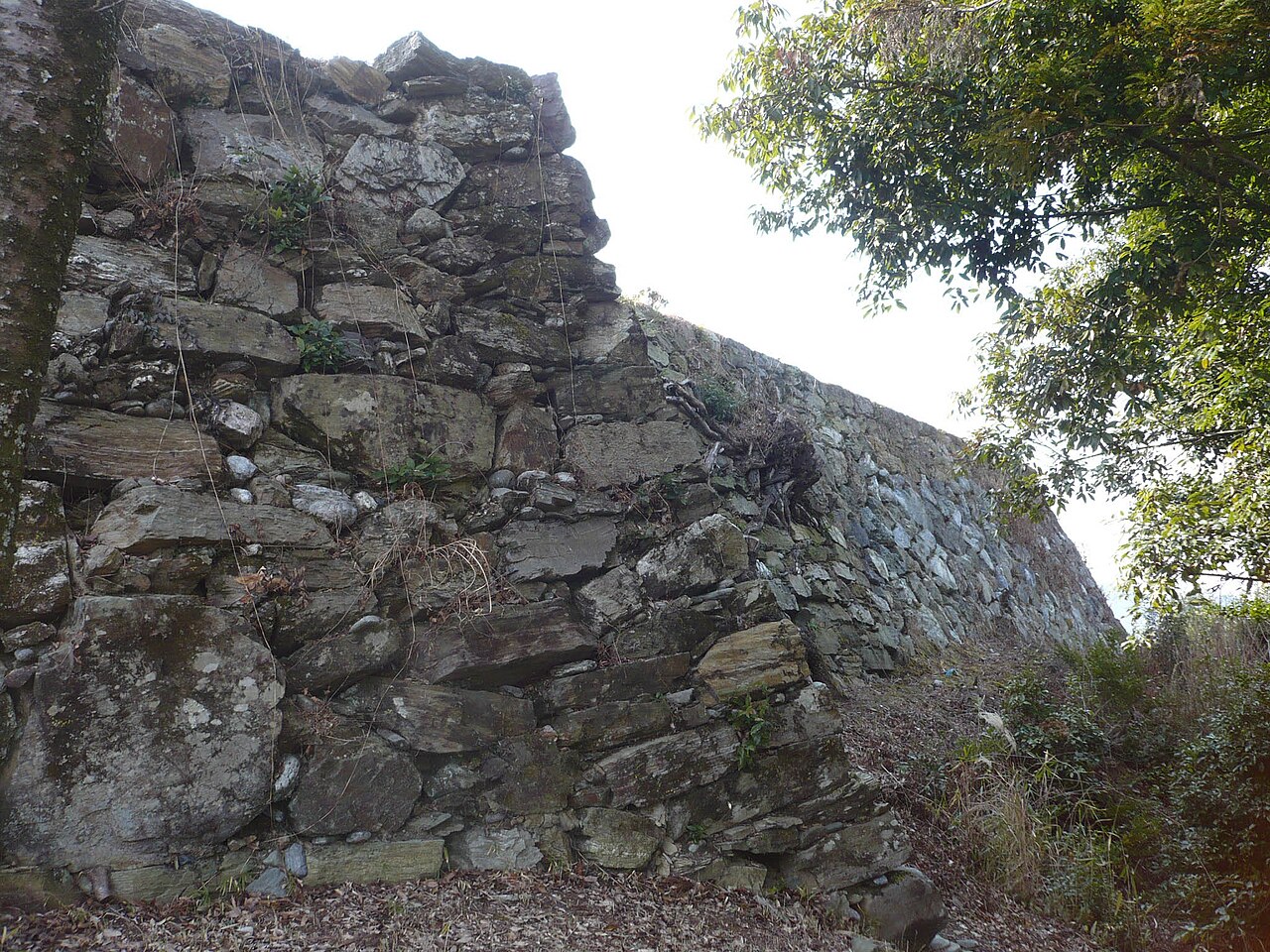 Ichinomiya Castle in Japan