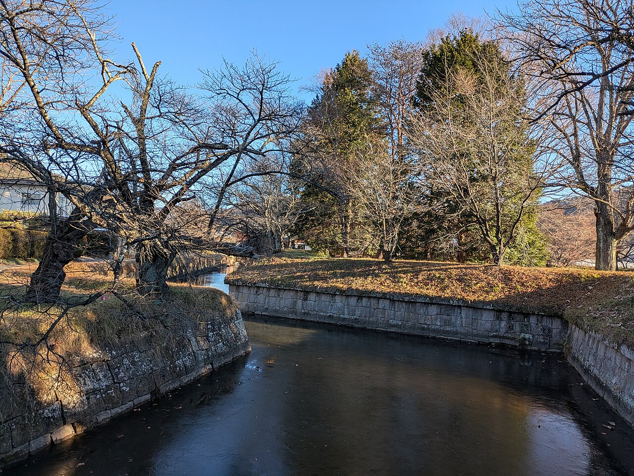 Tatsuoka Castle в Японії