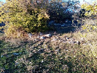 Isar Baga