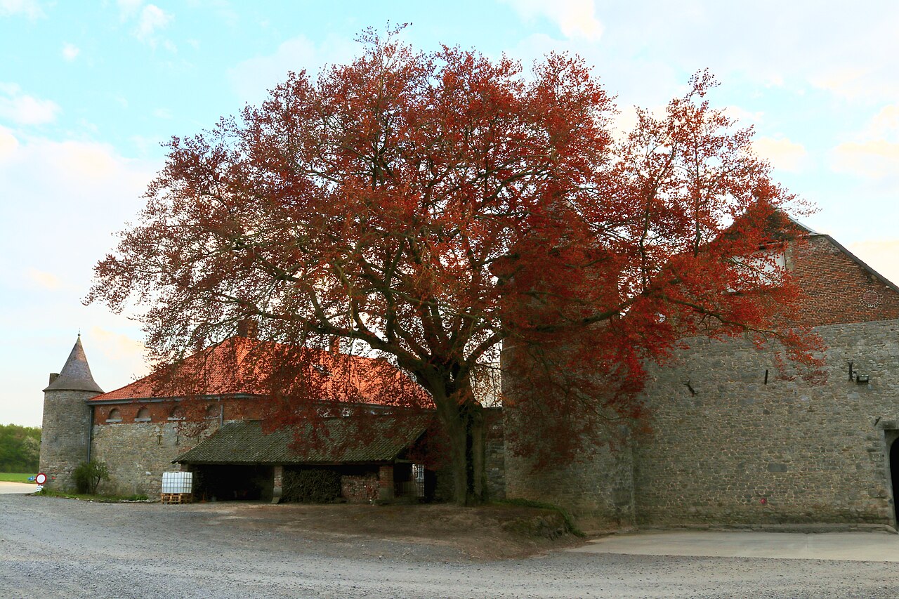 Fosteau Castle en Bélgica