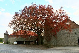 Fosteau Castle