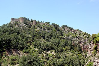 Servantikar
