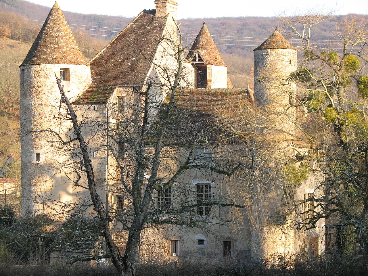 Château de Balleure en Francia