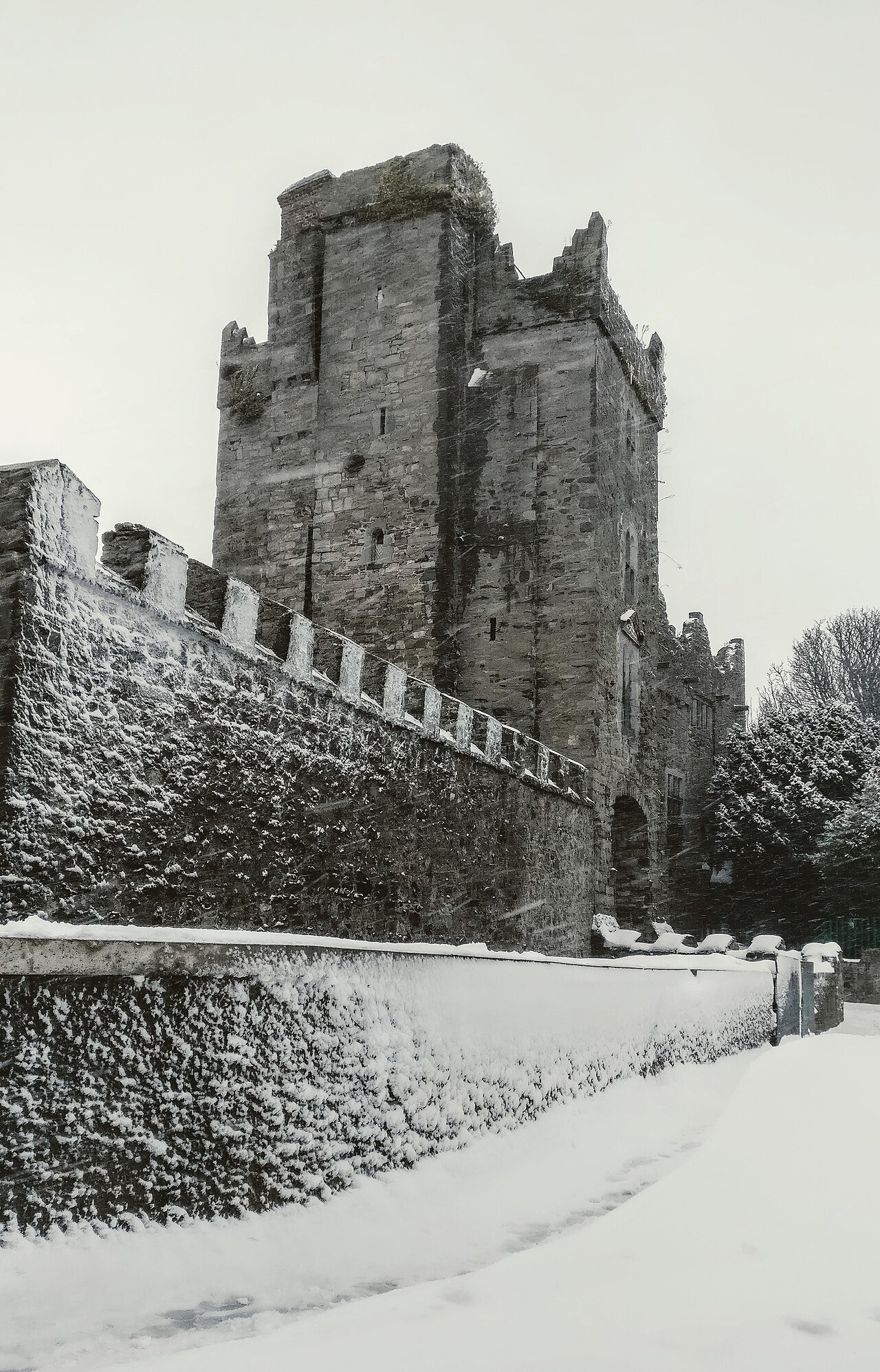 Drimnagh Castle in Ireland