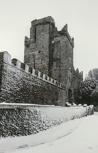 Drimnagh Castle
