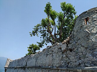 Lierna Castle