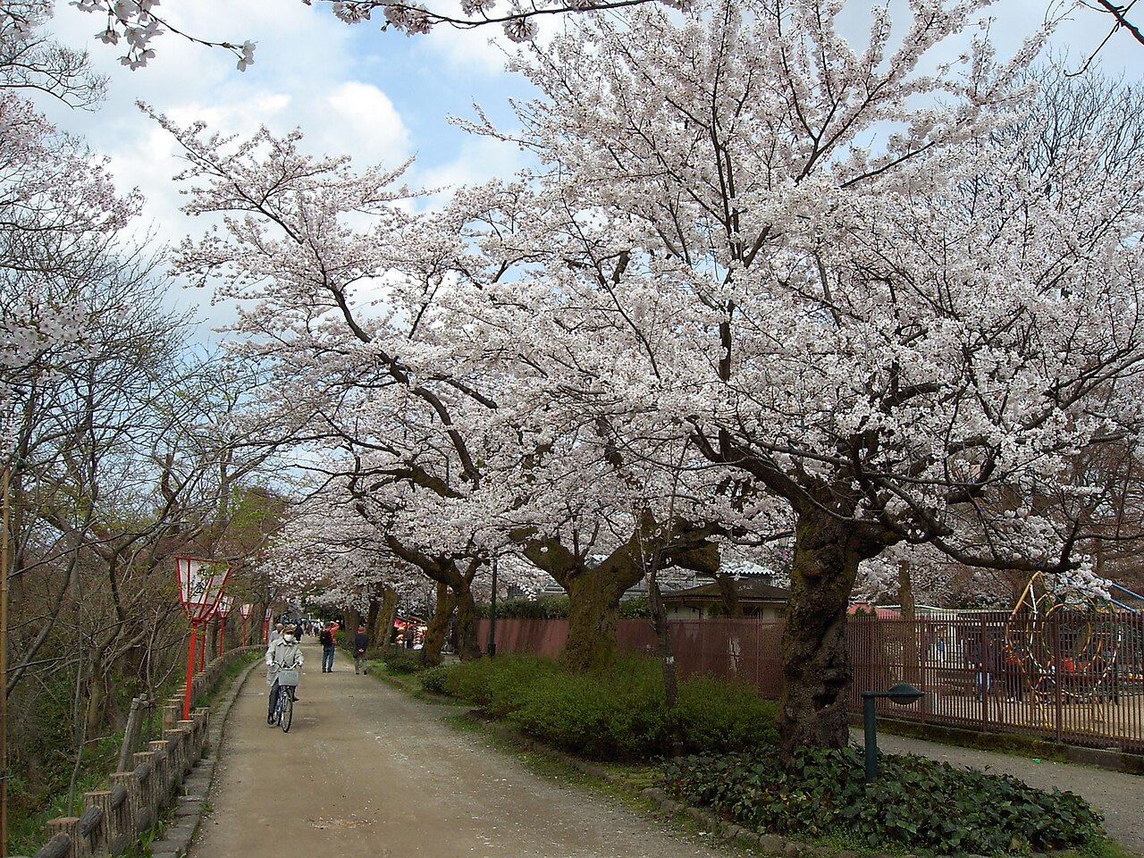 Takaoka Castle in Japan