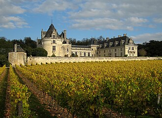 Castle of Brézé